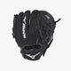 Black Grey (0000)