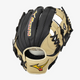 Black/Tan