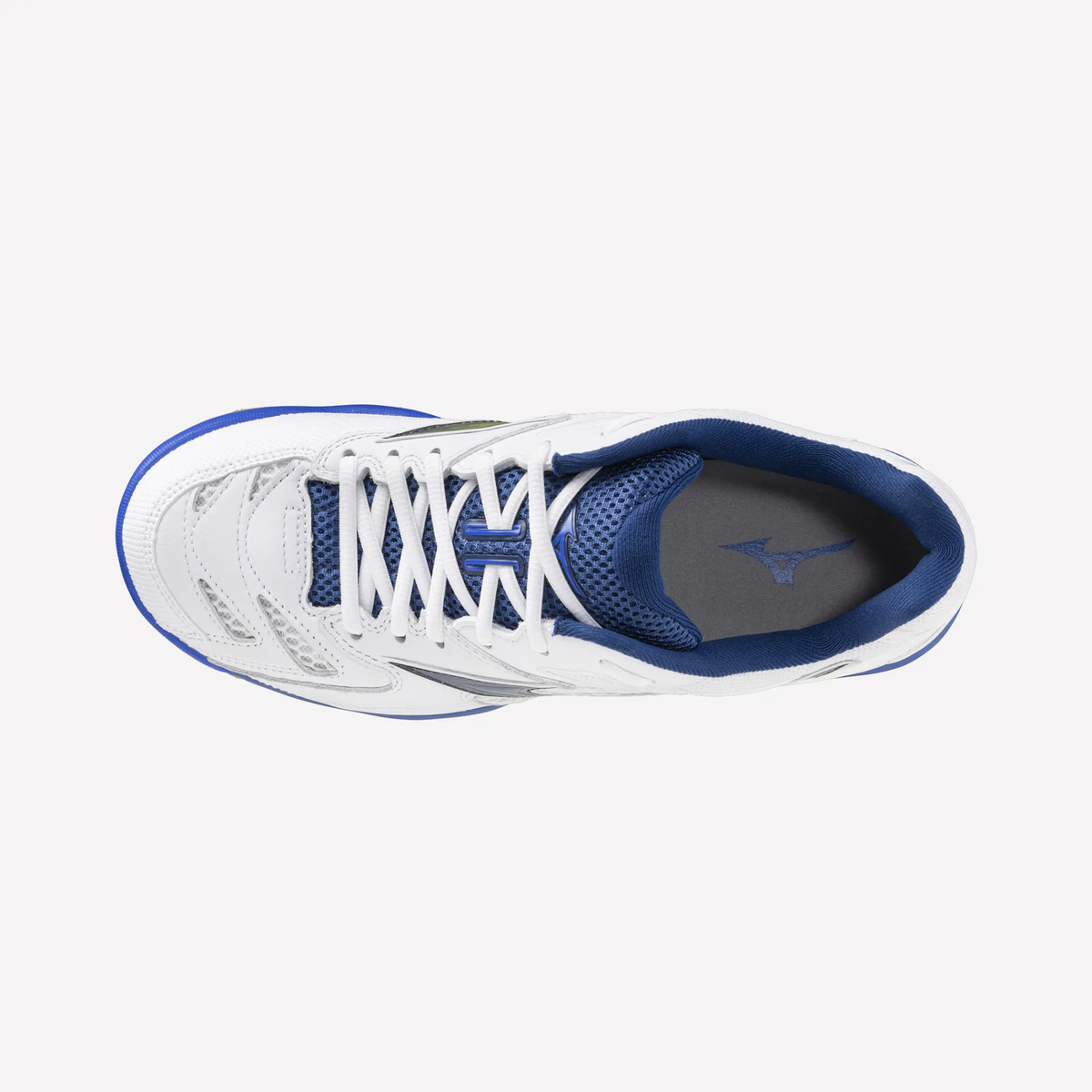 White Dazzling Blue (91)