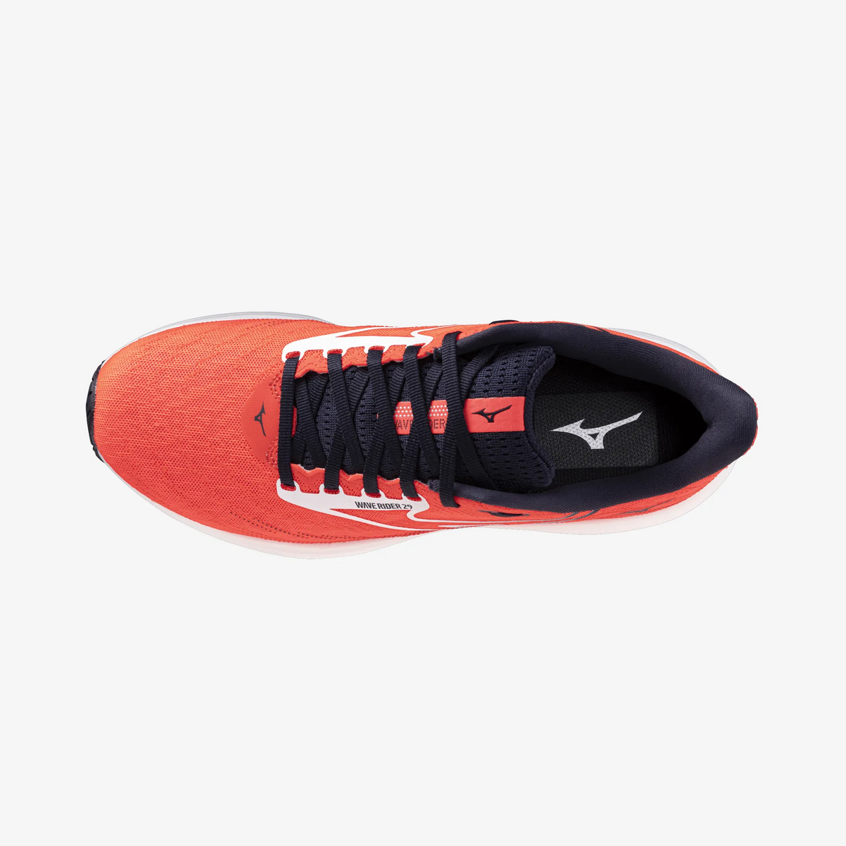 Fiery Coral (12)