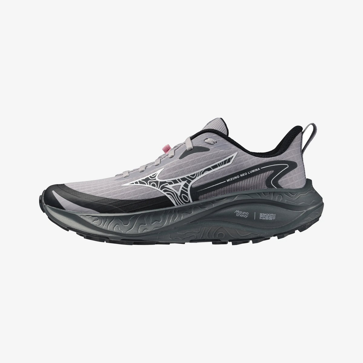 Dapple Gray (71)