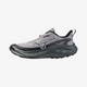 Dapple Gray (71)
