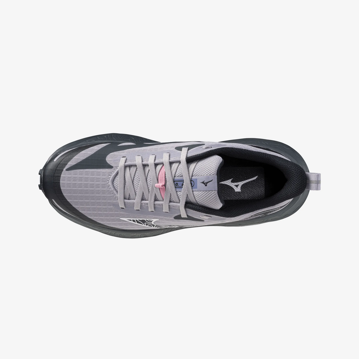 Dapple Gray (71)