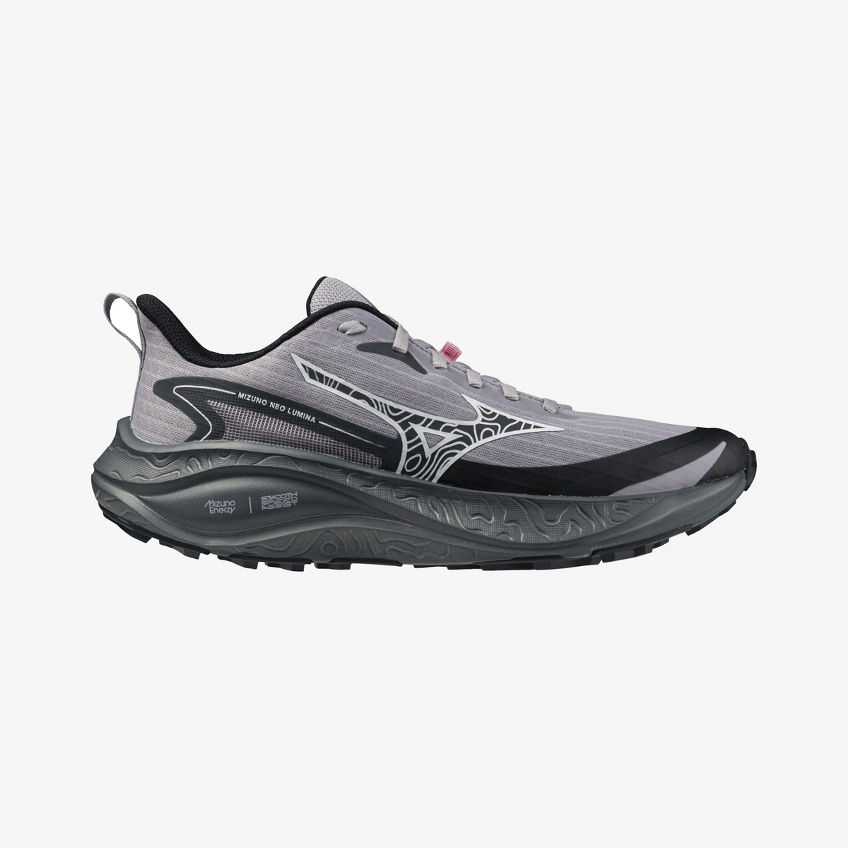 Dapple Gray (71)