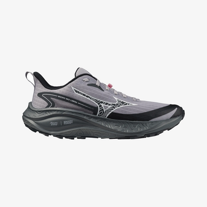 Dapple Gray (71)