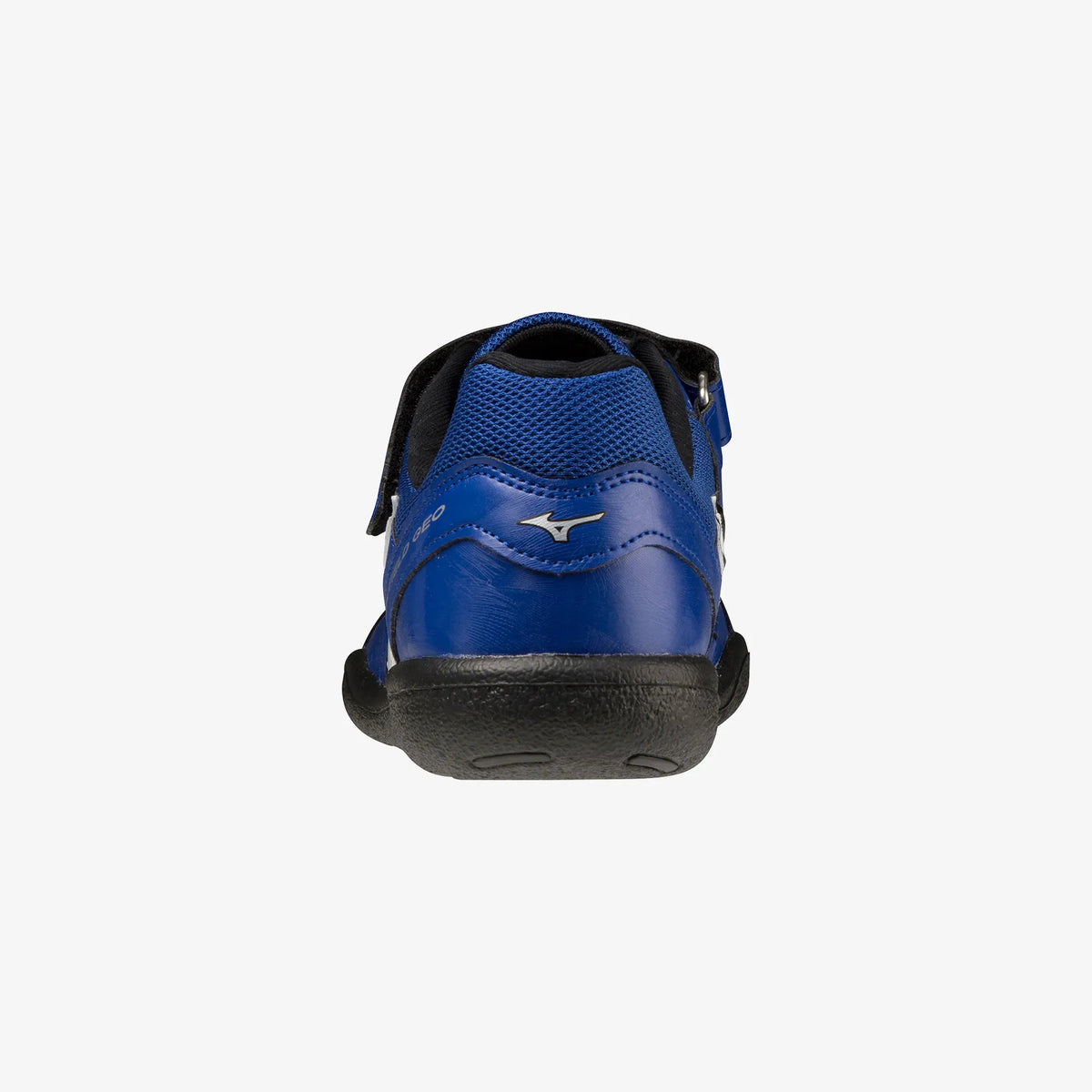 Reflex Blue (01)