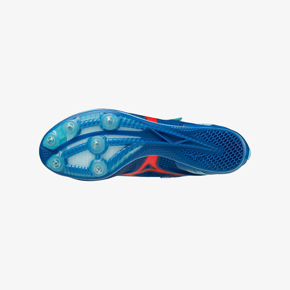 Snorkel Blue (01)
