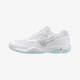 Blue Tint (45)